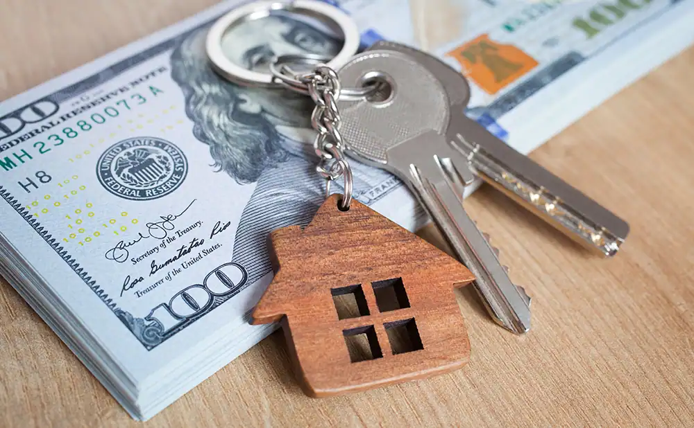 Delayed Financing for Cash Buyers 14 Delayed Financing for Cash Buyers 2